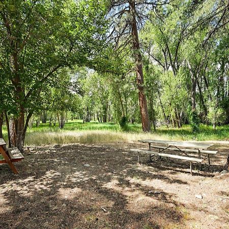 Rustic Cabin Near Downtown Bv And Arkansas River! Buena Vista Εξωτερικό φωτογραφία